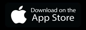 image shows apple play store logo